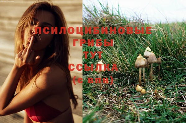 прущие крисы Гусиноозёрск