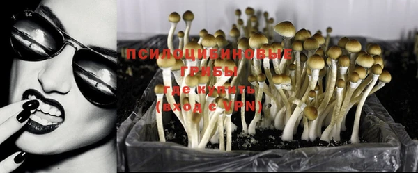 прущие крисы Гусиноозёрск