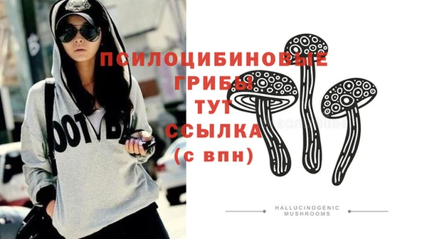 прущие крисы Гусиноозёрск